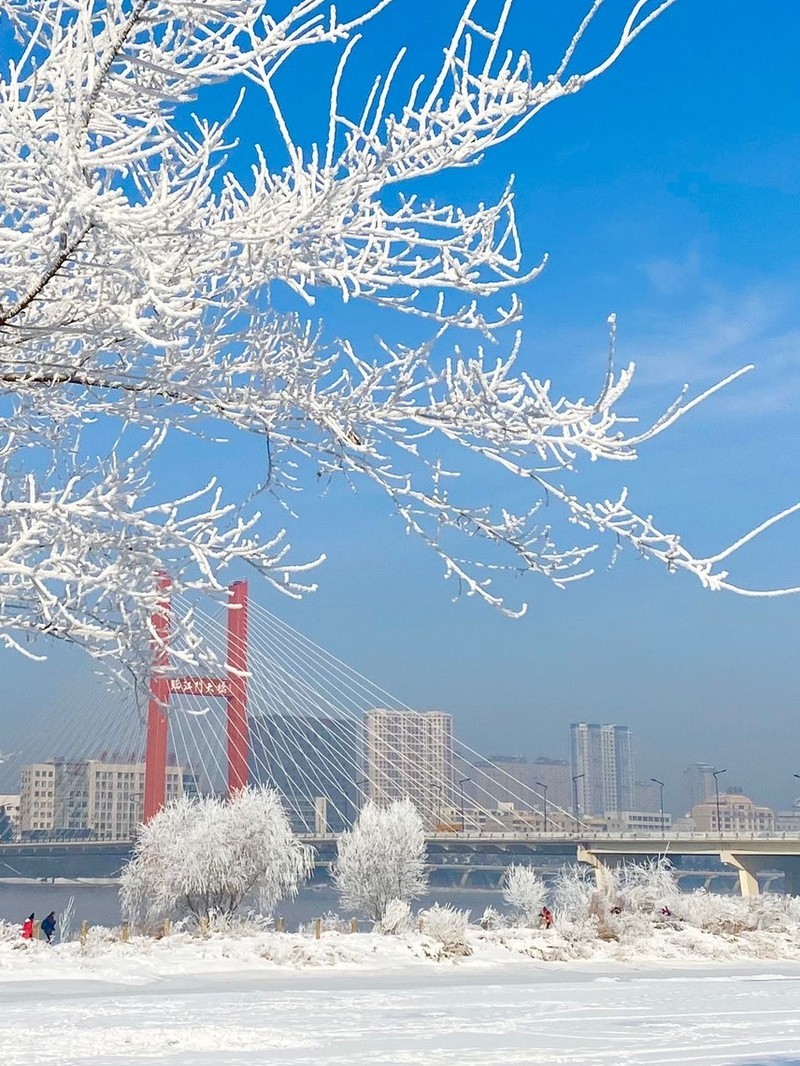 吉林，初学者与进阶用户适用的任务完成与技能学习指南