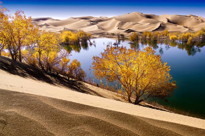 新疆之行，心之所向的感悟之旅