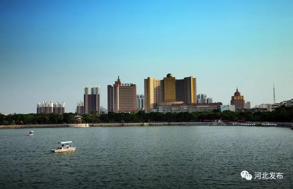 沧州之光，学习成长的力量与自信之旅